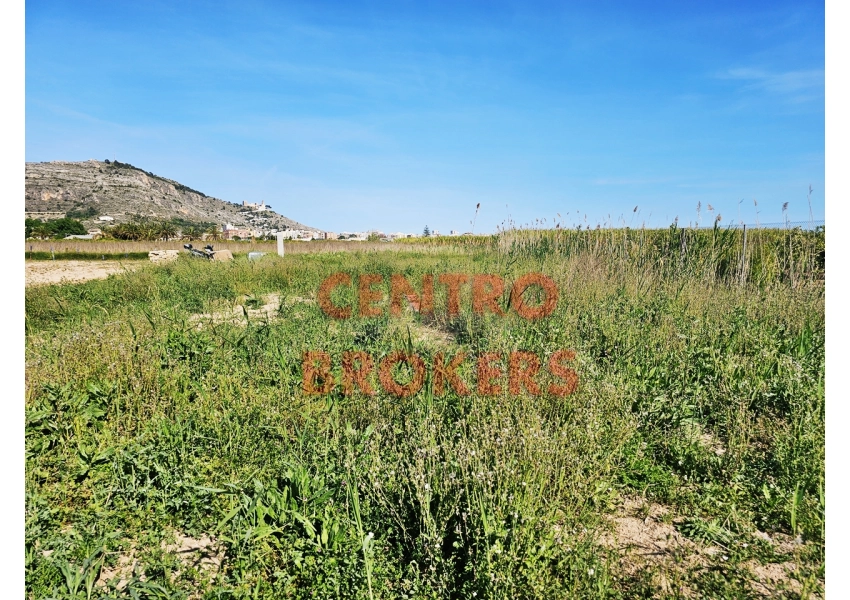Ziemia rolna - grunt rolny w Cullera, Walencja